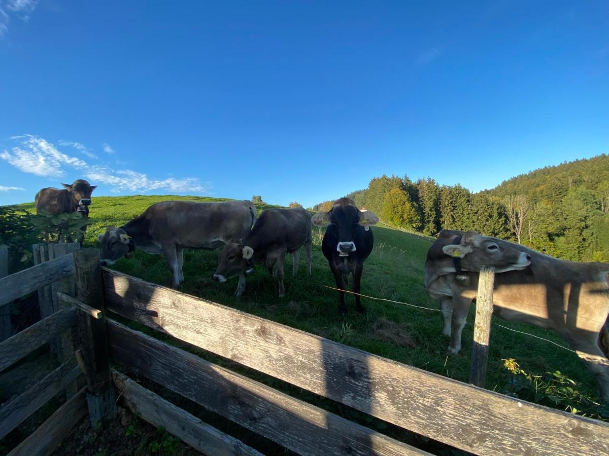 Ferienwohnung Bergblick Wangen Im Allgaeu Mit Garten, 2022 Komplett Renoviert Zewnętrze zdjęcie